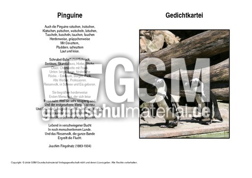 Pinguine-Ringelnatz.pdf